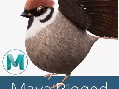 Sparrow bird Low-poly 3D model