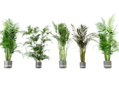 Collection plant vol 307 blender model Free 3D model