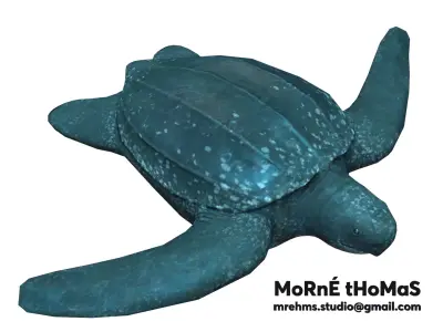 Leatherback Turtle Free 3D model