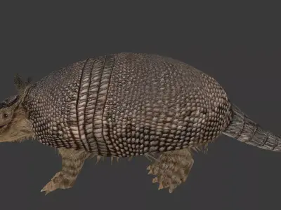 Pampatherium armadillo Low-poly 3D model