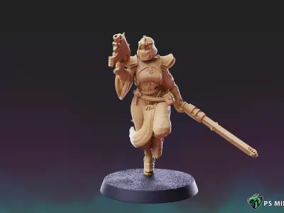 Divine Order - Initiate Pose 1  3D print model