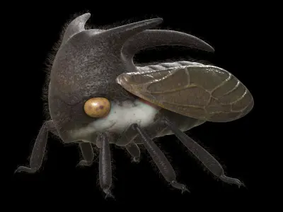 Treehopper bug with long legs and big eyes 3D model