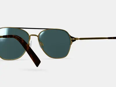 Corson Sunglasses in Jet Black with Polished Gold 3D model