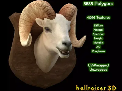 Ram Head - PBR - Textured Low-poly 3D model