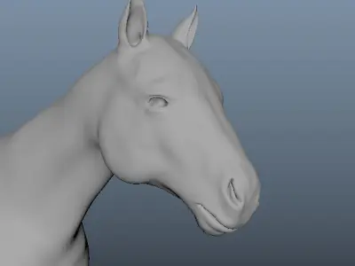 Horse Base Mesh 3D model