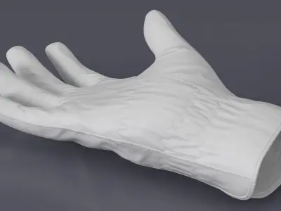 Golf Glove 3D model