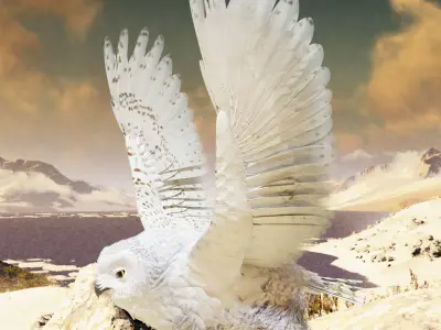 Snow Owl - BLENDER Low-poly 3D model