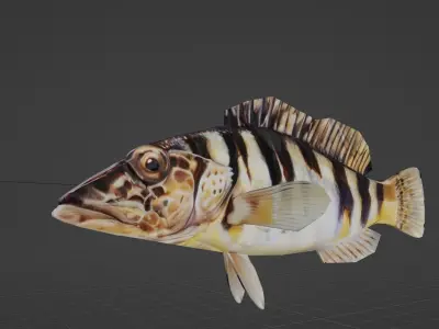 Mediterranean Fishes Set Nine piece low-poly 3D model FREE Free low-poly 3D model