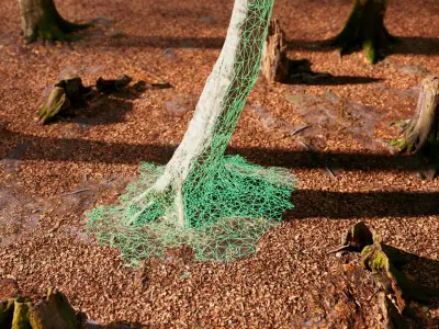 European Beech 06 3D Scanned Animated 3D model