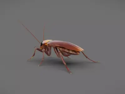 Roach - Read Description Low-poly 3D model