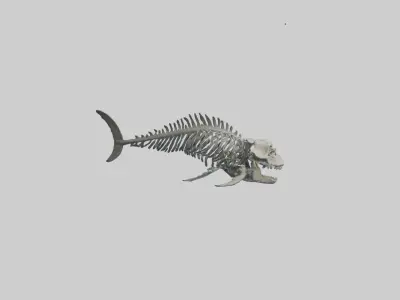 Dunkleosteus Skeleton model Low-poly 3D model