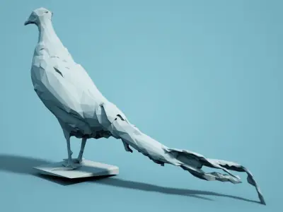 Bird Collection V2 Low Poly Models Low-poly 3D model
