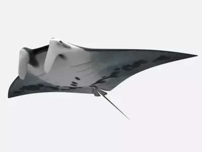 Giant oceanic manta ray Low-poly 3D model