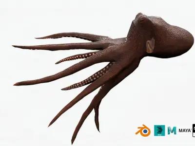 lowpoly rigged octopus rigged Low-poly 3D model