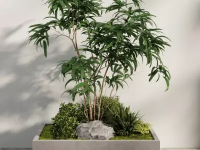 Minimal Courtyard Planter Tree Free 3D model