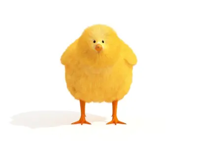 Baby Chick Chicken Farm Animal 3D model