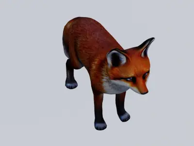 Realistic Fox low poly Low-poly 3D model