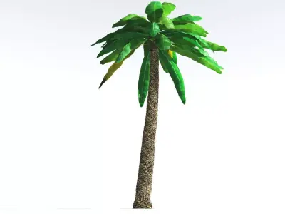 EVERYPlant Bjuvia Cycad 1 --12 Models-- 3D model
