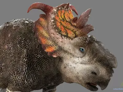 Pachyrhinosaurus dinosaur Low-poly 3D model