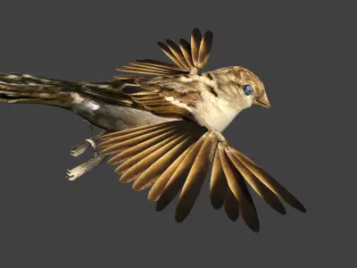 sparrow bird flying in air 3D model
