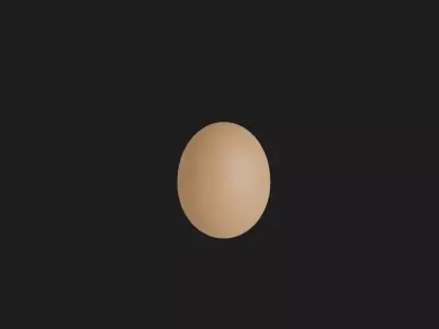 Chicken Egg Low-poly 3D model