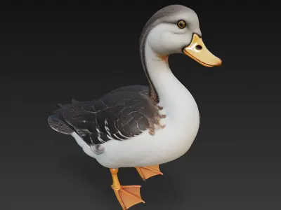 Duck Realistic 3D Model Basic - Low Poly Realistic Low-poly 3D model