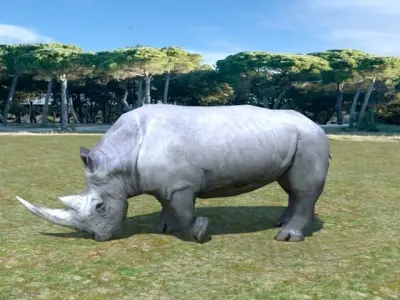 African Rhino Low-poly 3D model
