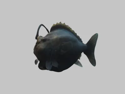Humpback anglerfish Deep-sea fish Abyss Abyssal Low-poly 3D model