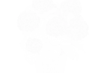  Small Mophead Hydrangea Plant Model, Pink 