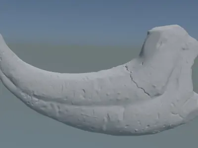 Raptor Claw 3D model