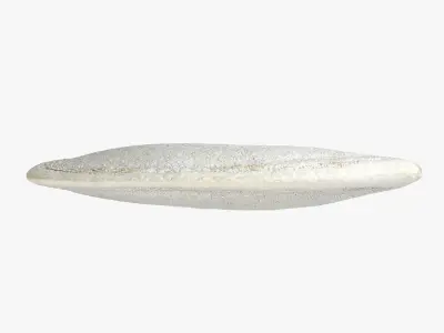 Pumpkin Seed 02 3D model