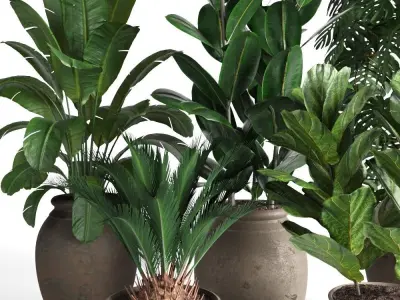 plant collection RPM 02 3D model