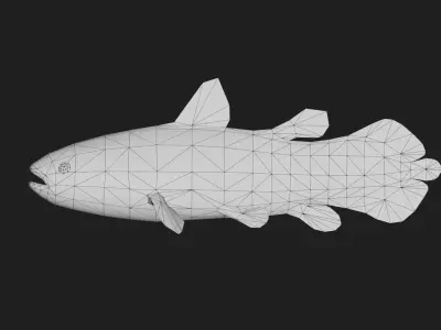 Coelacanth Low-poly 3D model