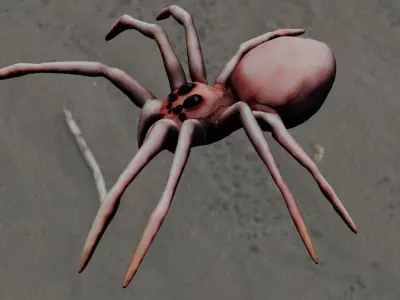 Spider Animated and Rigged  Low-poly 3D model