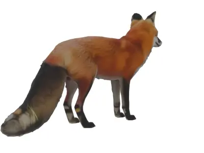 Red Fox Low-poly 3D model