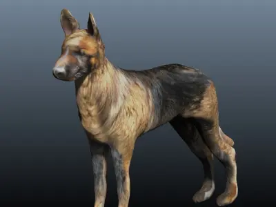 german shepard 3D model
