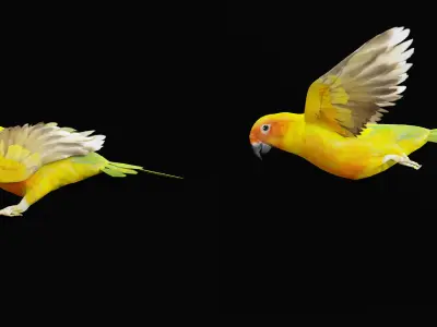 Golden Conure Parrot Bird Low-poly 3D model