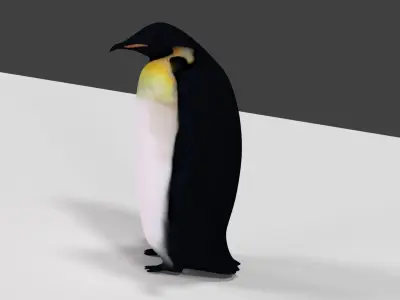 Penguin low poly Low-poly 3D model