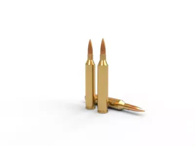 671 Blackbird  Ammo Low-poly 3D model