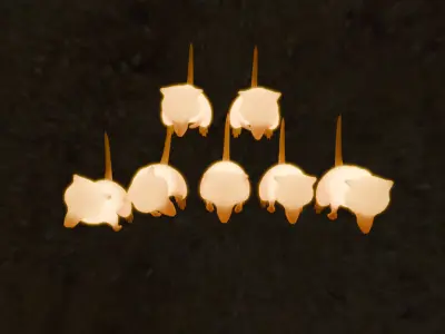 Indirect Lighting for Meerkats 3D model