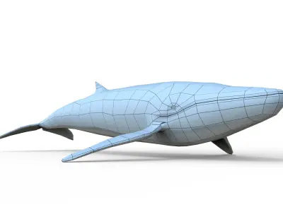 Whale game ready Low-poly 3D model
