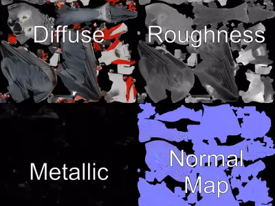 African Grey Parrot model pack Low-poly 3D model