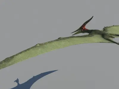 Pterodon dinosaur flying in sky 3D model