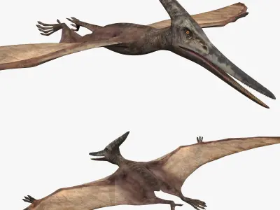 Pterosaur Forever 8K - 3d animated model 3D model