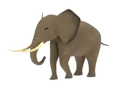 Elephant 3D Model Rigged and Animated Low-poly 3D model