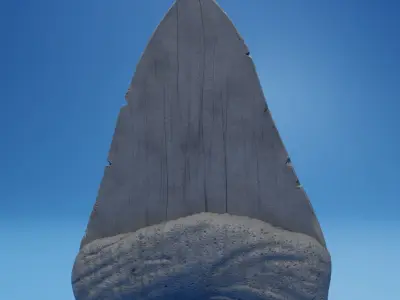 Megalodon Tooth Fossil 3D print model