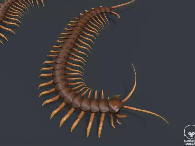 Pbr Centipede ball with Low-poly 3D model