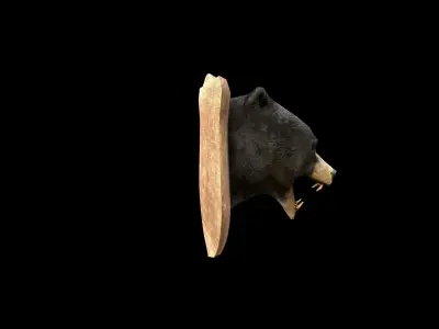 Bear Head - PBR - Textured Low-poly 3D model