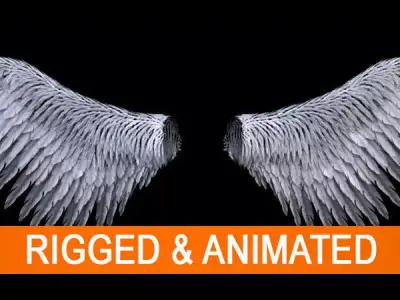 Angel Wings  3D model