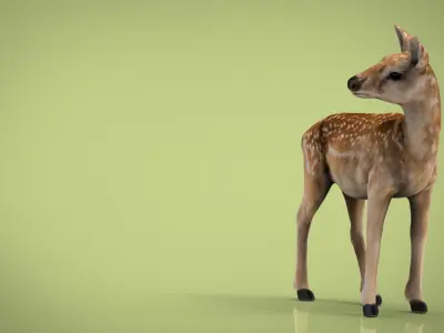 BABY DEER Low-poly 3D model